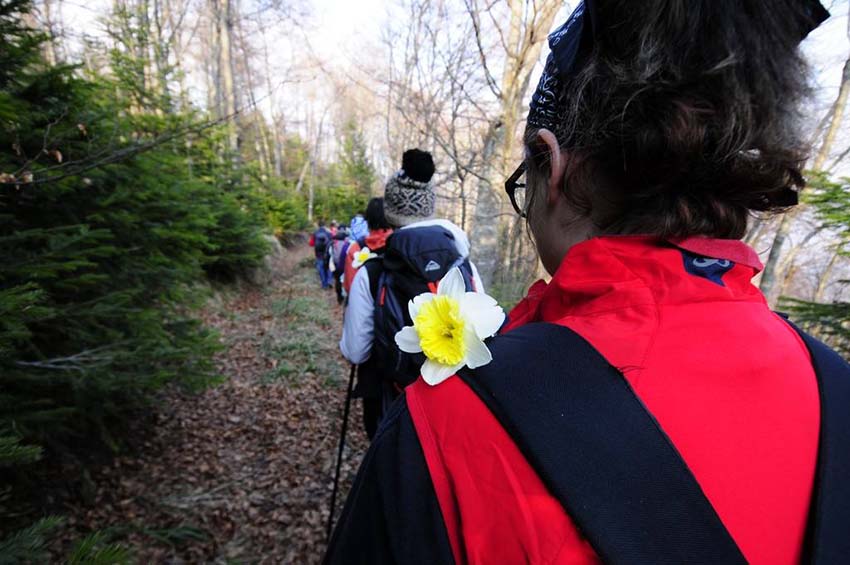 Treći put organizirana manifestacija "Elzine staze - šetnja za život"