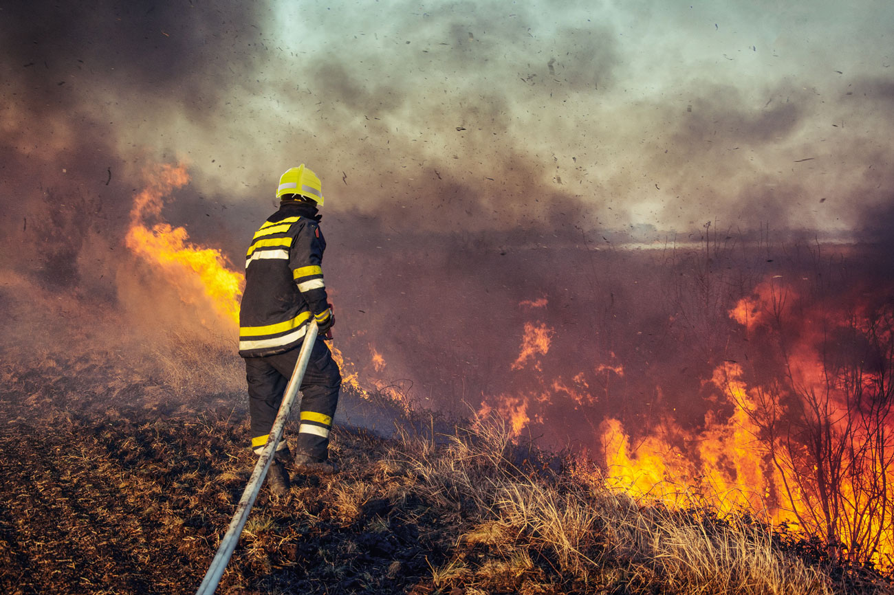 ”Čuvajmo šumu od požara jer je to naše zajedničko dobro”!