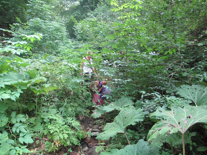 Uz Kostajnicu ka Oberskoj rupi