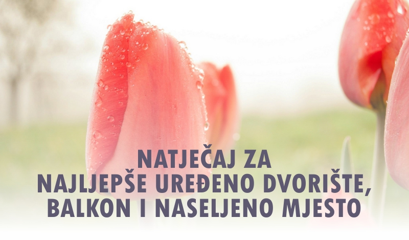 najljepsivrt1