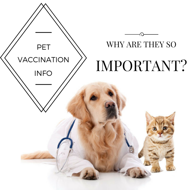 pet_vaccines.png